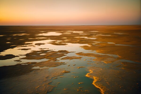 A serene sunset over vast mudflats reflecting soft pink and orange hues.