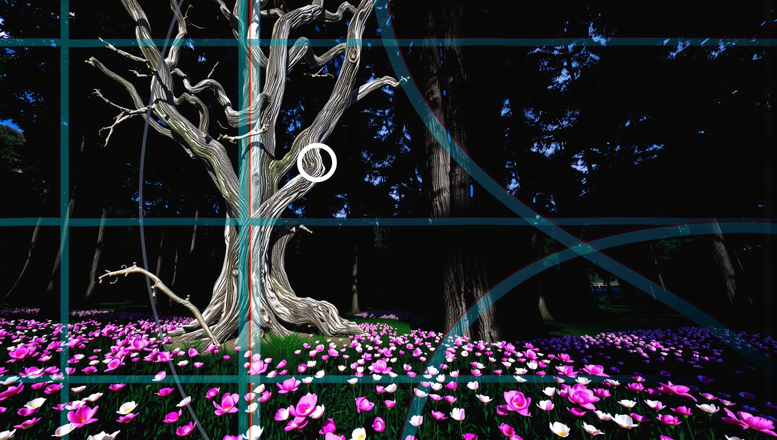 Enchanted Forest Geometry Overlay