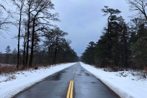 A snowy road in a quiet forest landscape with bare trees on an overcast winter day.